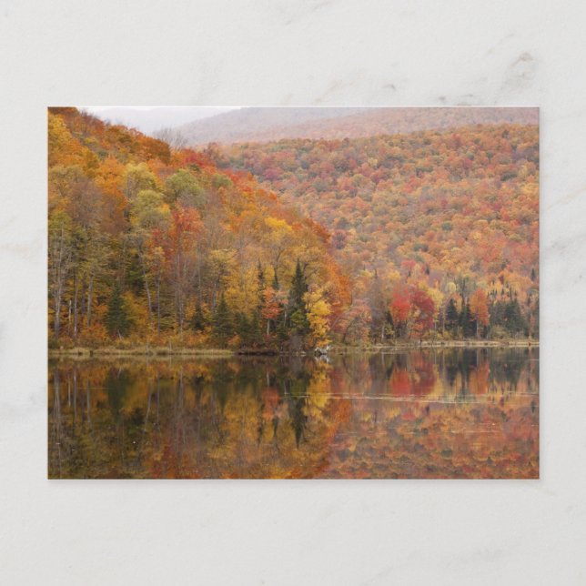 Autumn landscape with lake, Vermont, USA 2 Postcard (Front)
