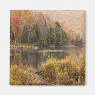 Autumn landscape with lake, Vermont, USA 3 Magnet