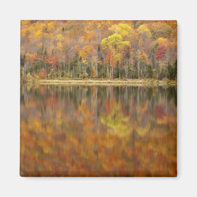 Autumn landscape with lake, Vermont, USA Magnet (Front)