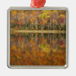 Autumn landscape with lake, Vermont, USA Metal Tree Decoration