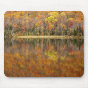 Autumn landscape with lake, Vermont, USA Mouse Mat
