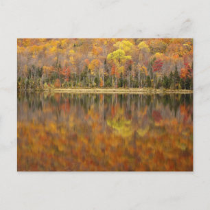 Autumn landscape with lake, Vermont, USA Postcard