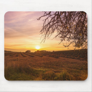 Autumn lavender field on sunset mouse mat