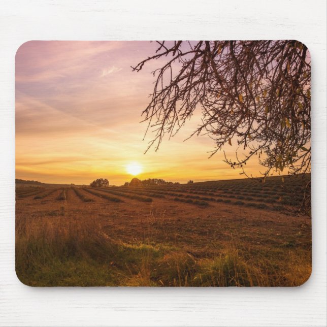 Autumn lavender field on sunset mouse mat (Front)