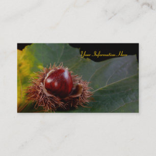Autumn Leaf and Nut Business Cards