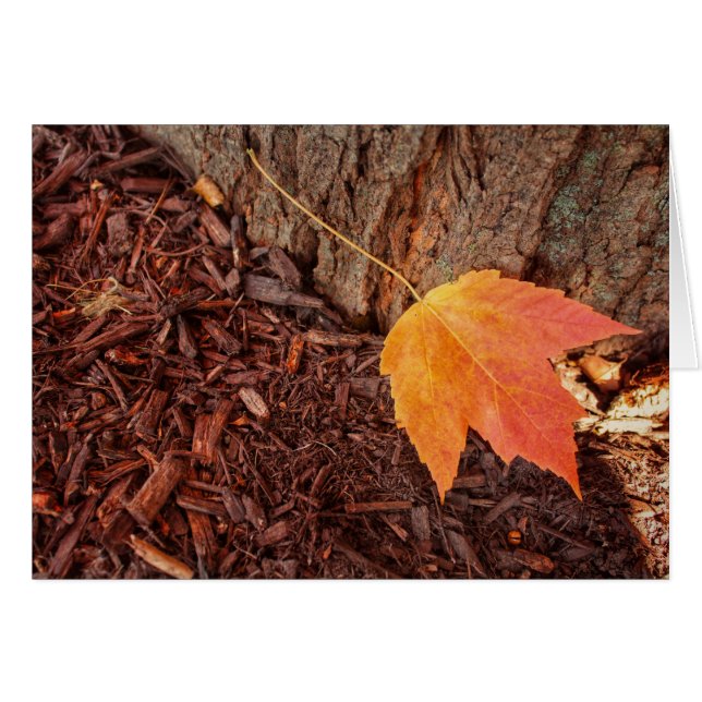 Autumn Leaf Blank Card (Front Horizontal)