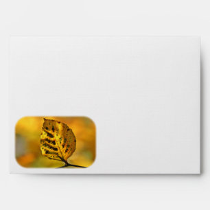 Autumn Leaf Bursting with Colour Envelope