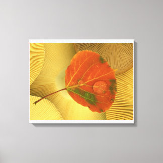 Autumn Leaf Canvas Print