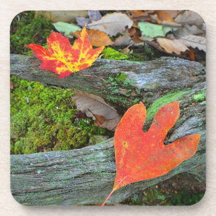 Autumn Leaf Coaster