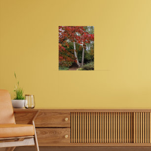 Autumn Leaf Color Photographic Poster