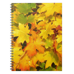 Autumn Leaf Colours Tree Party Destiny Celebration Notebook
