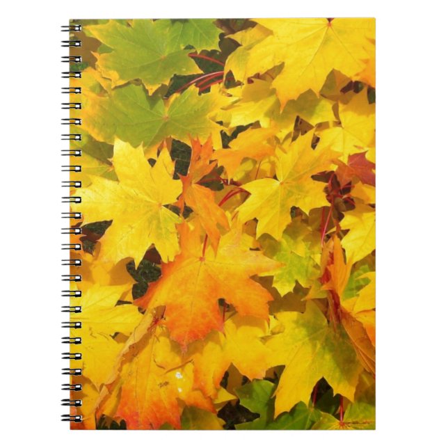 Autumn Leaf Colours Tree Party Destiny Celebration Notebook (Front)