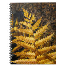 Autumn Leaf Golden Fern Photo