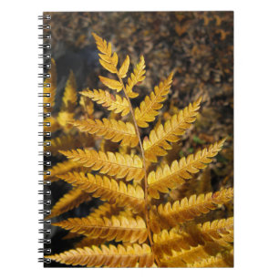 Autumn Leaf Golden Fern Photo Notebook