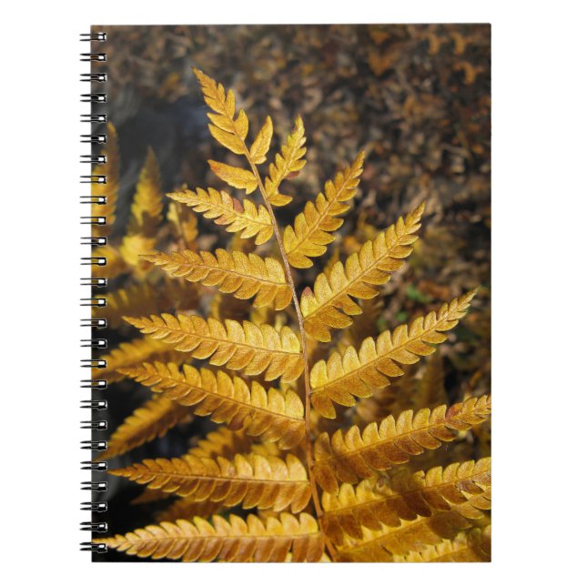 Autumn Leaf Golden Fern Photo Notebook (Front)