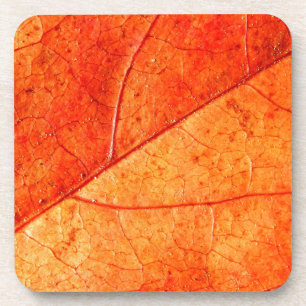 Autumn Leaf Hard Plastic Coasters