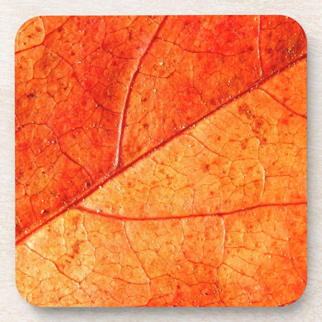 Autumn Leaf Hard Plastic Coasters (Front)