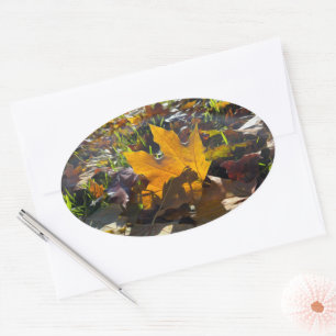 Autumn leaf in the sun oval sticker