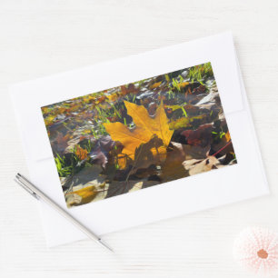 Autumn leaf in the sun rectangular sticker