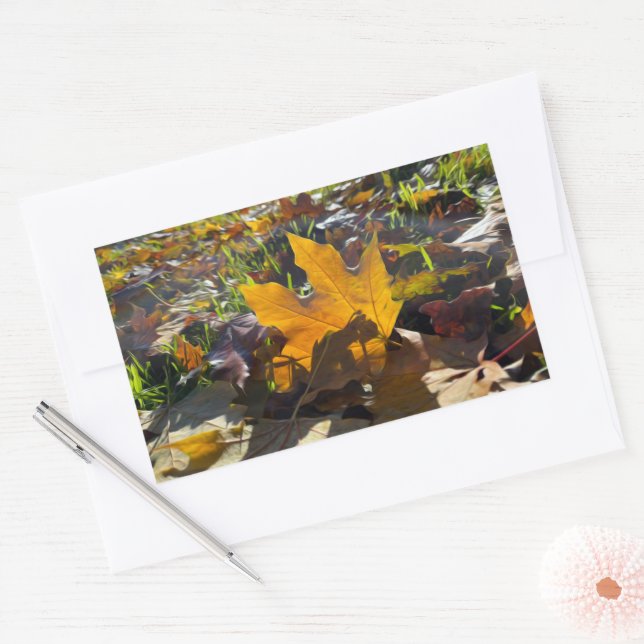 Autumn leaf in the sun rectangular sticker (Envelope)