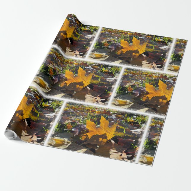 Autumn leaf in the sun wrapping paper (Unrolled)