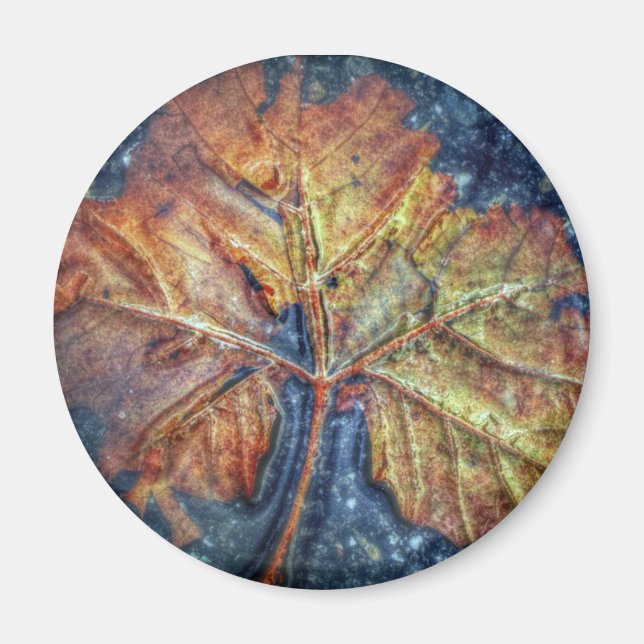 Autumn Leaf Magnet (Front)