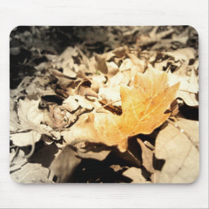 Autumn leaf mouse mat
