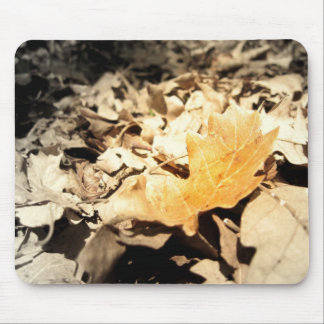 Autumn leaf mouse mat