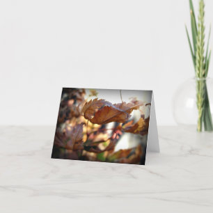 Autumn Leaf Note Card (Photography)