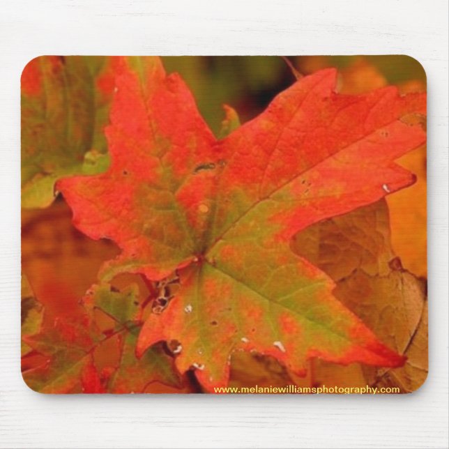 Autumn leaf pad mouse mat (Front)
