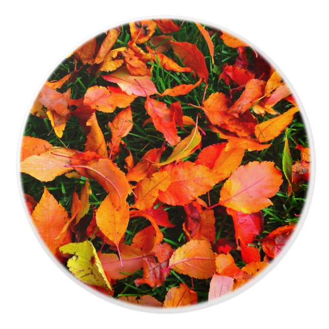 Autumn Leaf Texture Door Knob (Front)