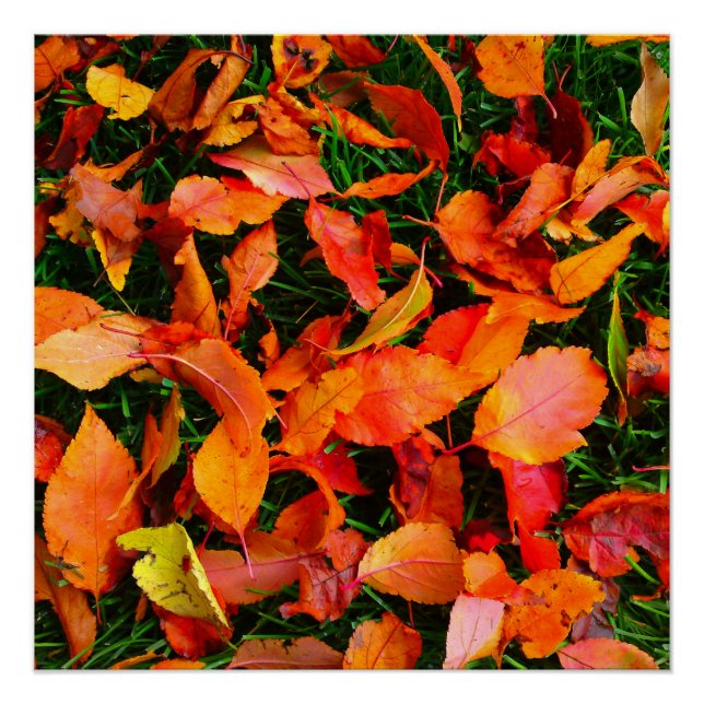 Autumn Leaf Texture Perfect Poster (Front)