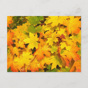 Autumn Leaf Tree Fall Nature Forest Destiny Season Postcard