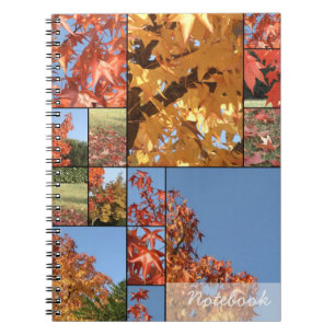 Autumn leafs Notebook