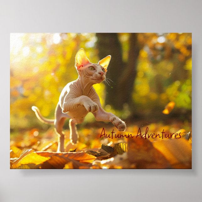 Autumn Leap: Playful Sphynx Cat Poster (Front)