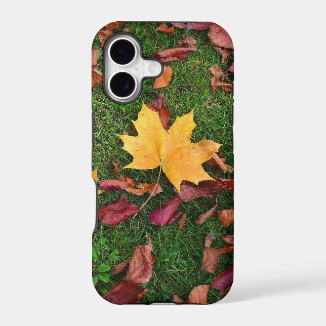 Autumn Leaves (Back)