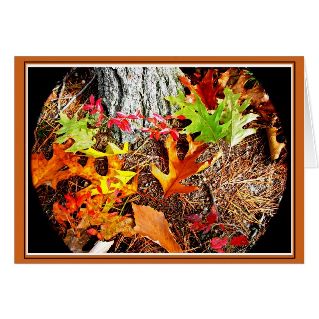 Autumn Leaves (Front Horizontal)