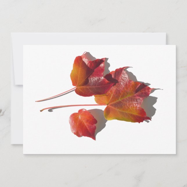 Autumn Leaves (Front)