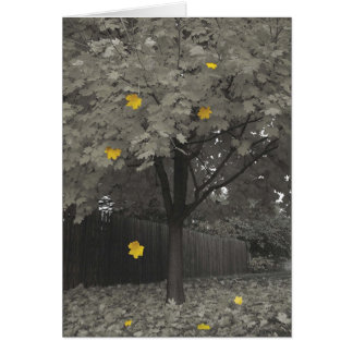 Autumn Leaves