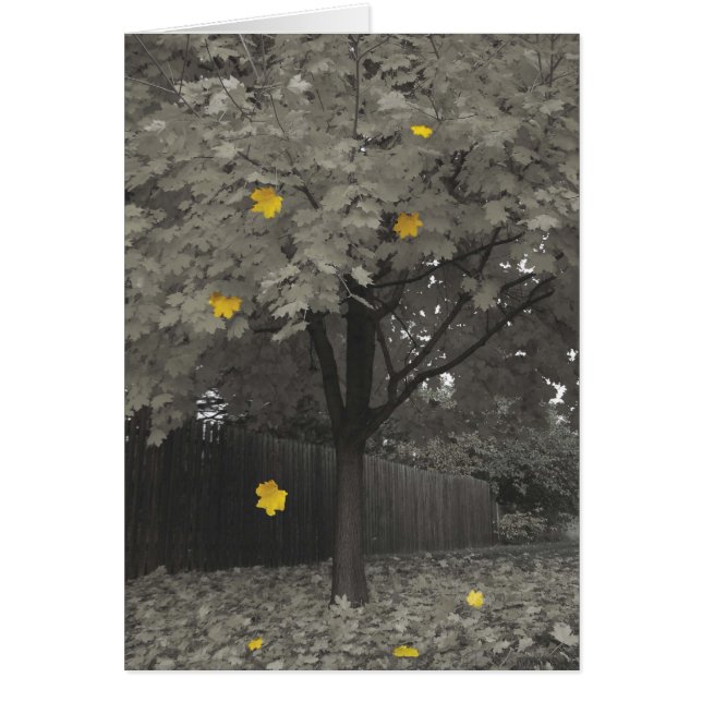 Autumn Leaves (Front)