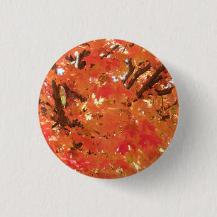 Autumn Leaves 1 3 Cm Round Badge