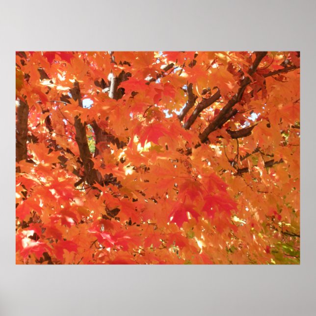 Autumn Leaves 1 Poster (Front)