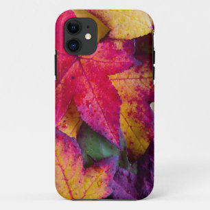 Autumn Leaves #2 iPhone 11 Case
