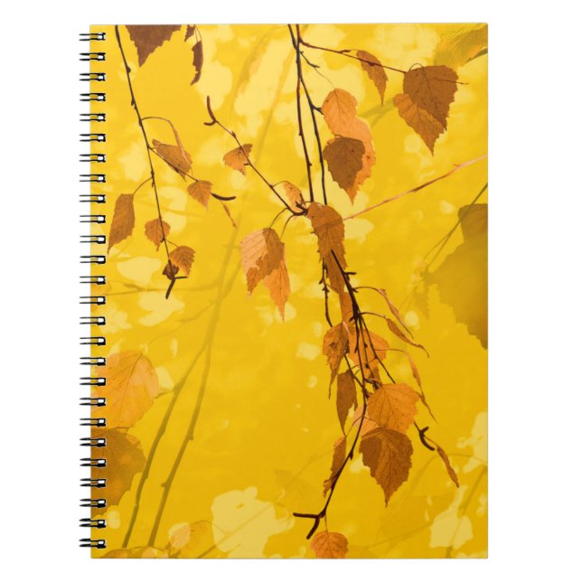 Autumn Leaves 3 Notebook (Front)