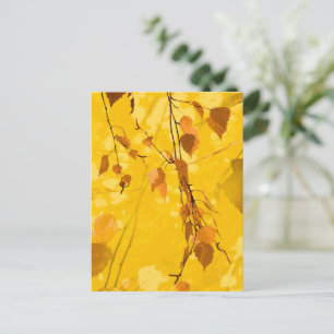 Autumn Leaves 3 Postcard