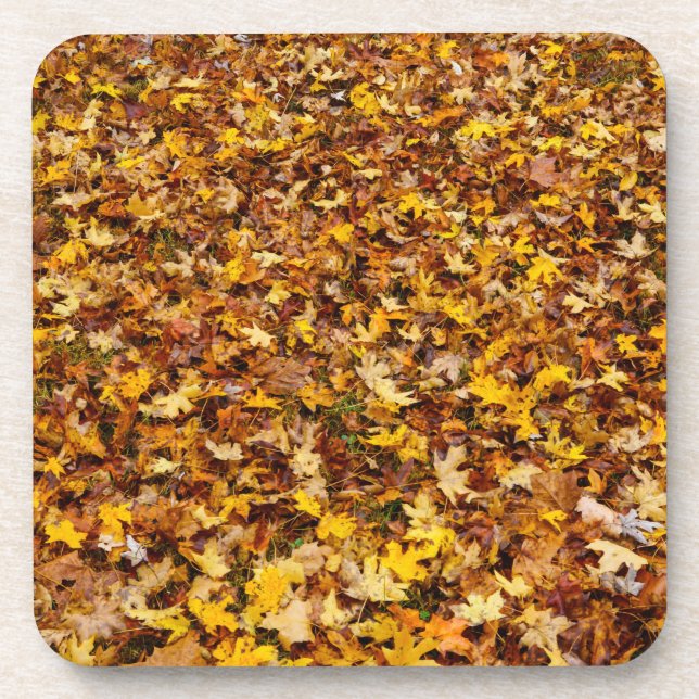 Autumn Leaves Abstract Coaster (Front)
