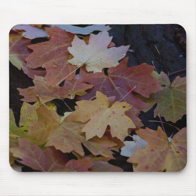 Autumn leaves all around mouse mat (Front)