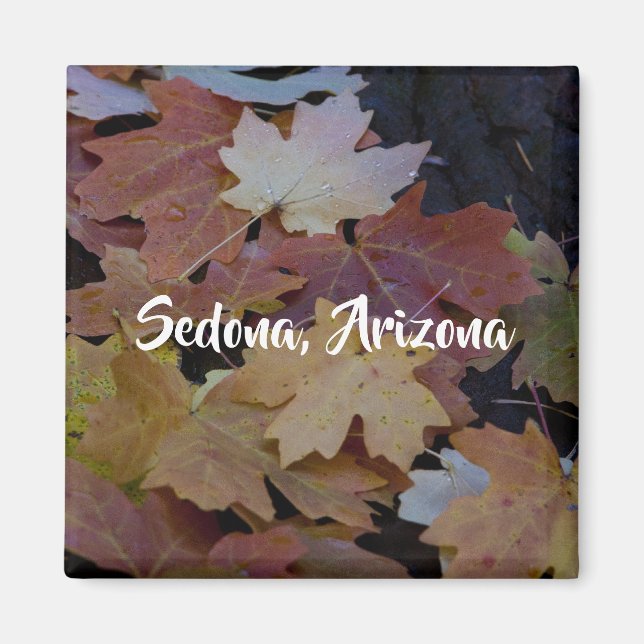 Autumn leaves all around, Sedona Arizona Magnet (Front)
