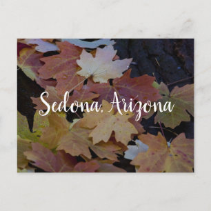Autumn leaves all around, Sedona Arizona Postcard