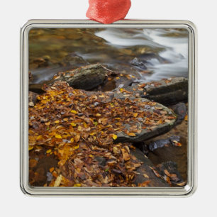 Autumn leaves along Looking Glass Creek in the Metal Tree Decoration